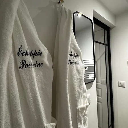 Echappée Poitevine Appartement Poitiers